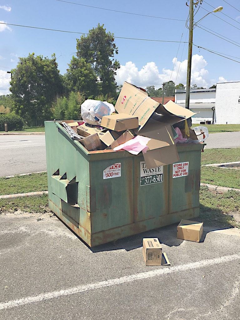 City to crack down on illegal dumping in downtown dumpsters The Cairo